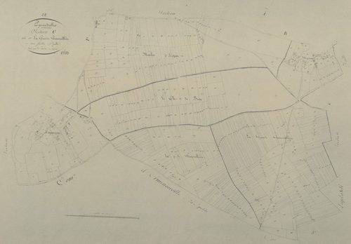 Section C, la Grande Grenouillère, feuille 2.