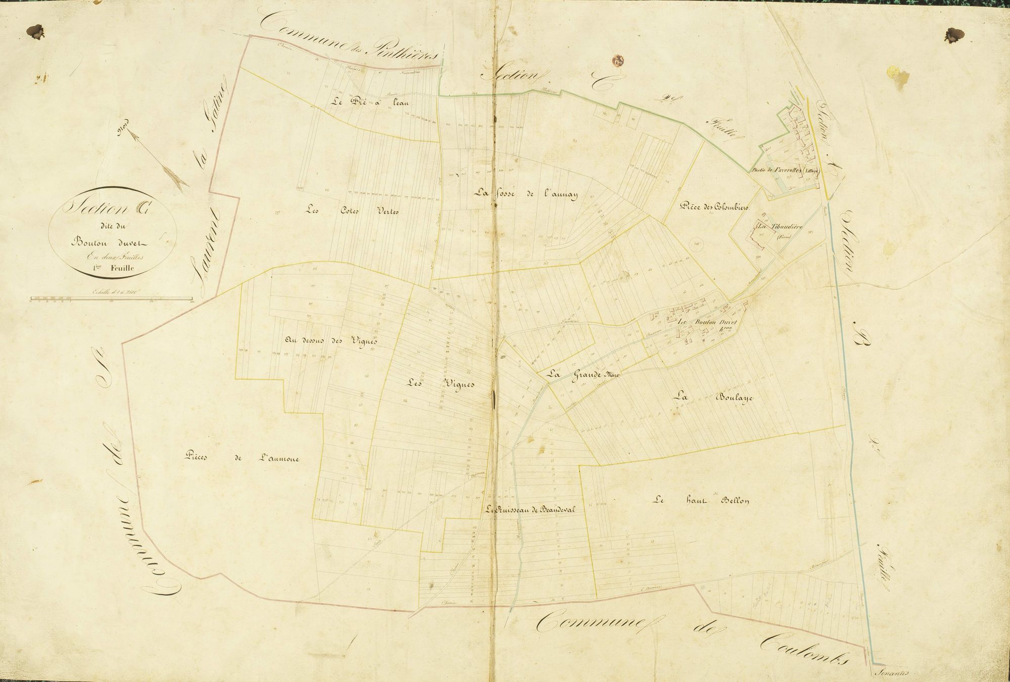 Section C, le Bouton Duvet, feuille 1.