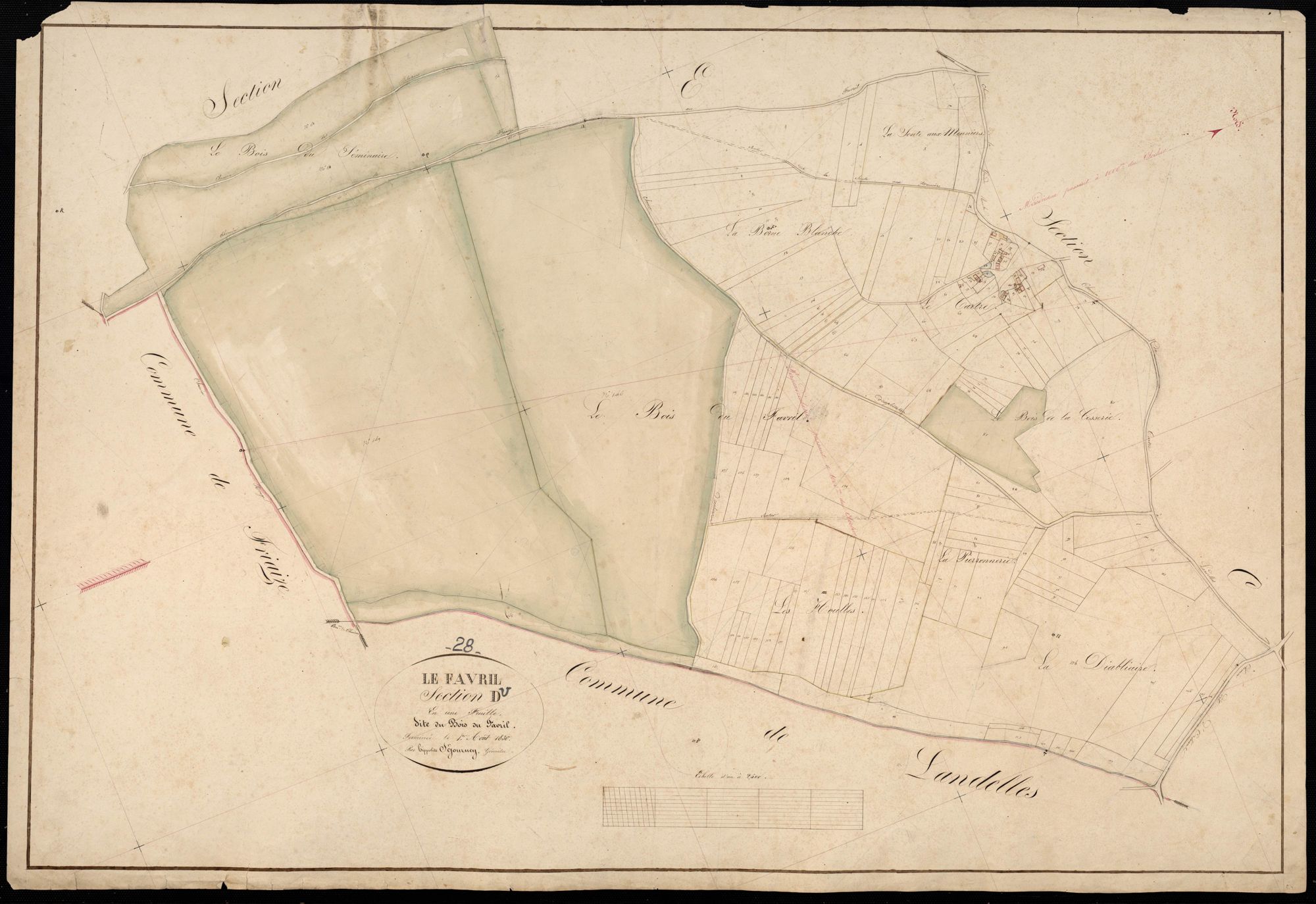Section D, le Bois du Favril, en une feuille / Terminée par Monsieur Séjourney, Géomètre secondaire.