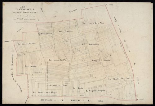 Section E, le Croc-à-la-Pie, en une feuille / Terminée sur le terrain par Monsieur Miard, Géomètre secondaire.