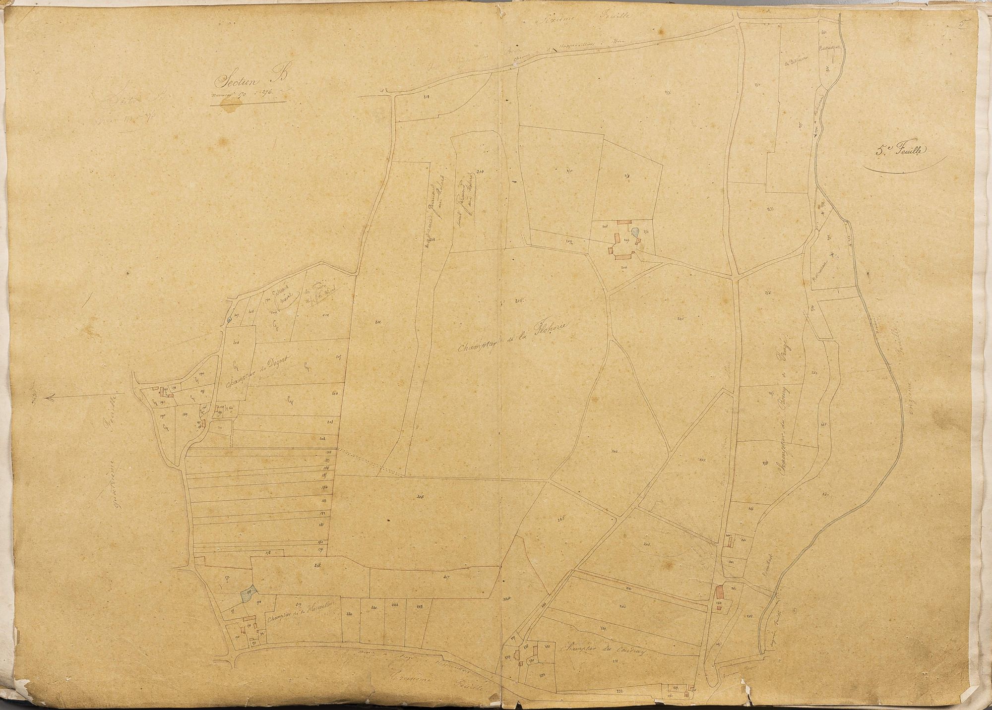 Section B, numéros 170 à 276, 5ème feuille.