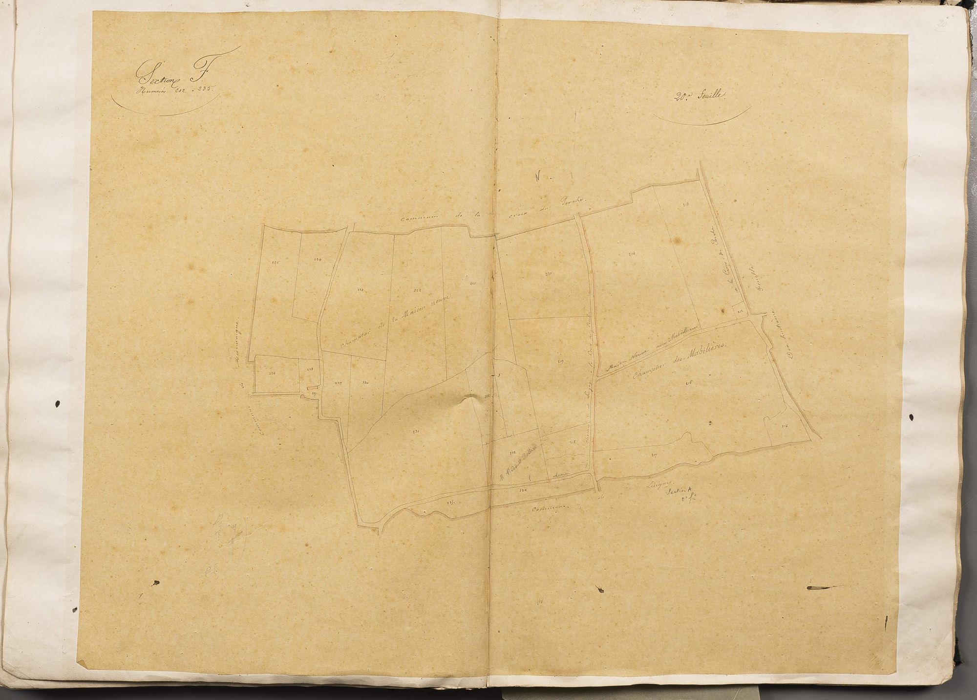 Section F, numéros 212 à 235, 20ème feuille.