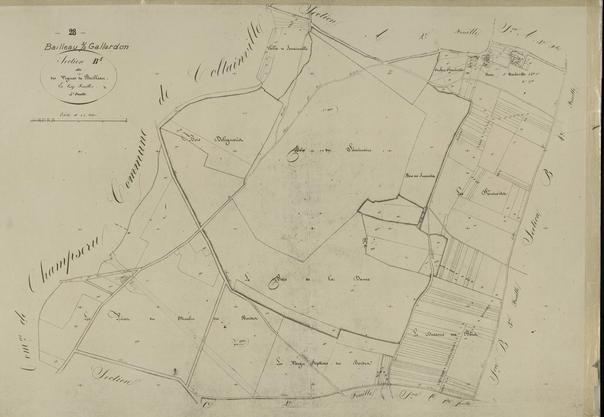 Section B, les Vignes de Bailleau, feuille 5.