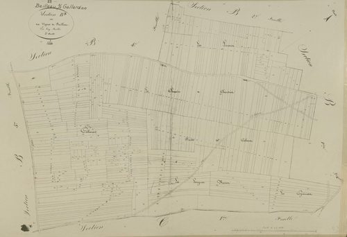Section B, les Vignes de Bailleau, feuille 3.