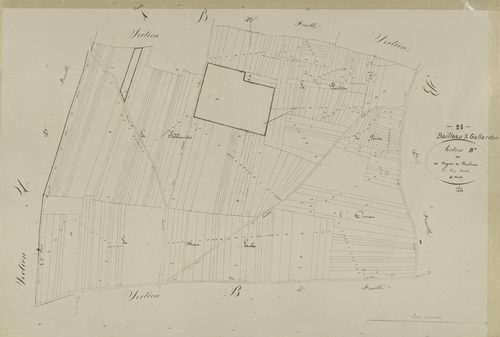 Section B, les Vignes de Bailleau, feuille 4.