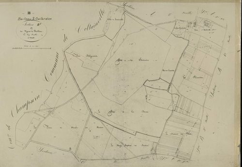 Section B, les Vignes de Bailleau, feuille 5.
