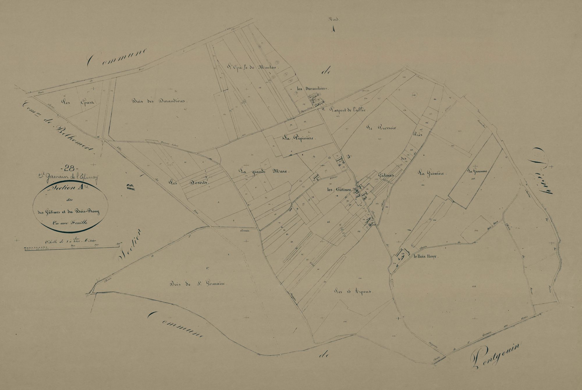 Section A, les Gâtines et le Bois-Rouy, en une feuille.