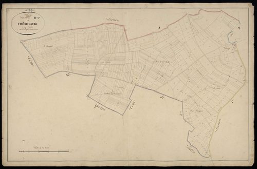 Section D, Chêne-Long, en une feuille.