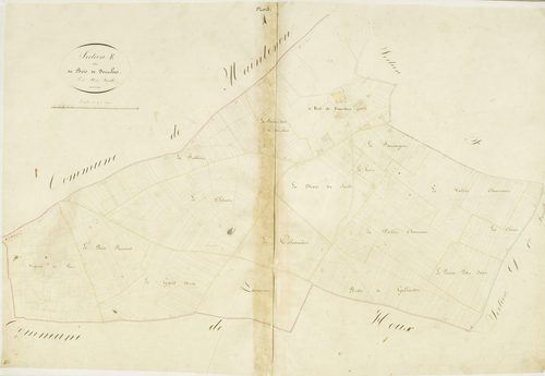 Section E, le Bois de Fourches, en une feuille.
