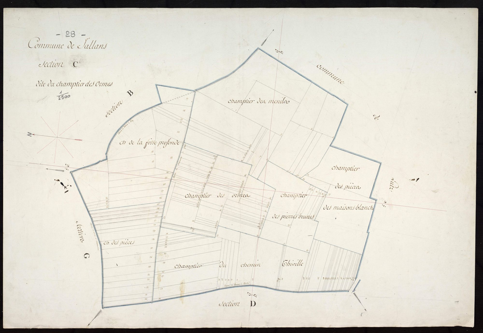 Section C, le Champtier des Ormes.