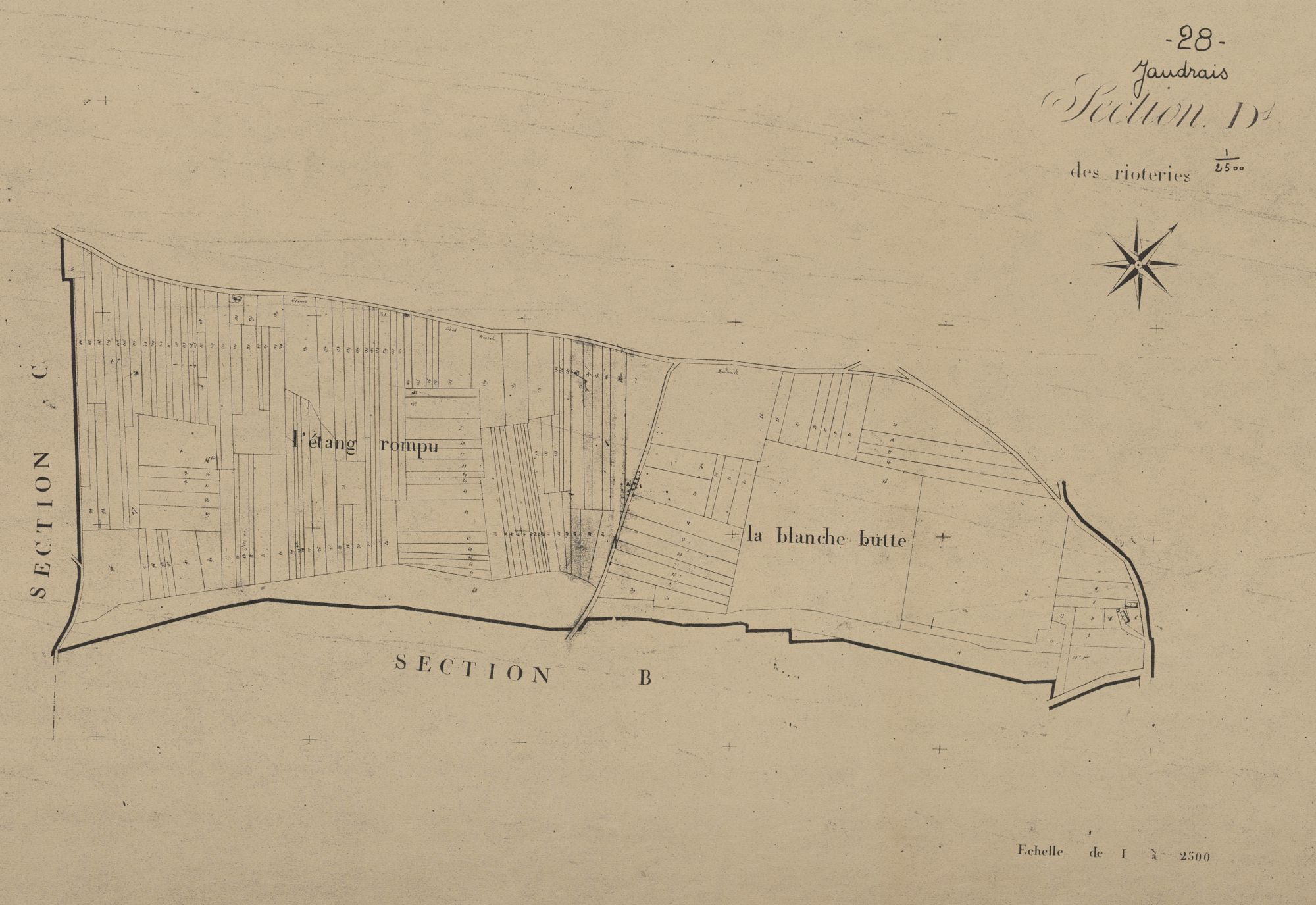 Section D, les Rioteries, feuille 1.