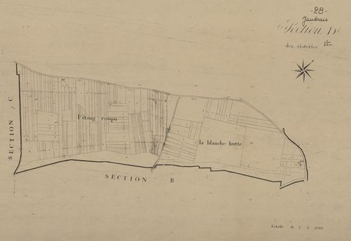 Section D, les Rioteries, feuille 1.
