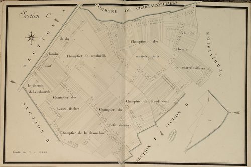 Section C.