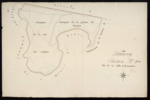 Section P, la Taille et le Tronchet.
