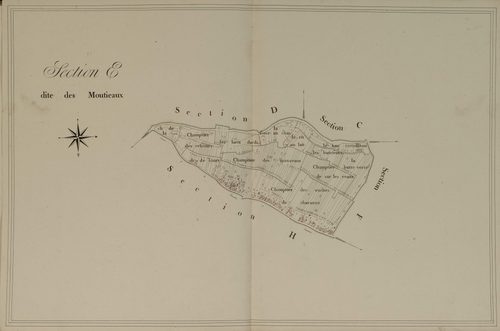 Section E, les Moutieaux, en une feuille.