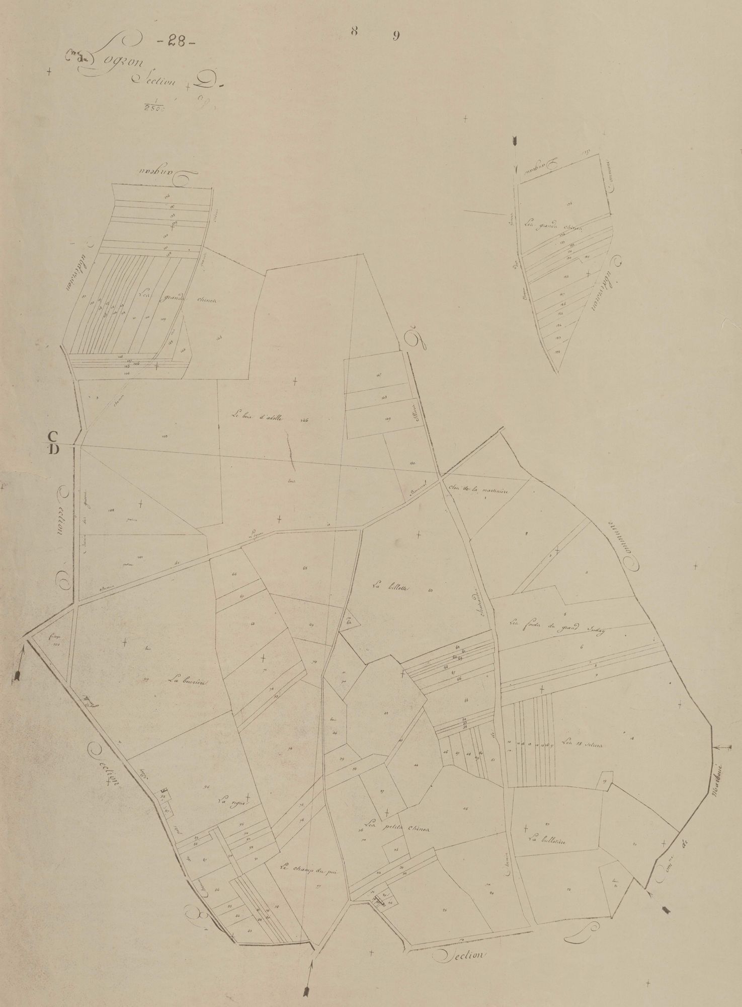Section D.