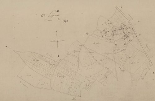 Section A.