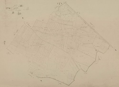 Section B.