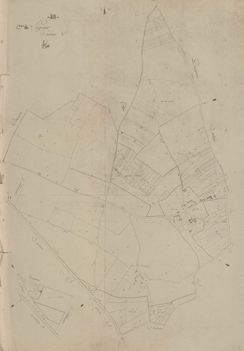 Section C.