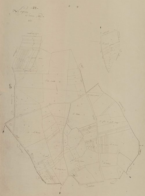 Section D.
