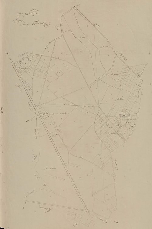 Section F.