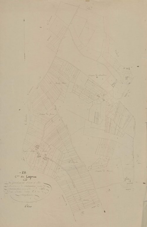 Section G, Champbuisson.