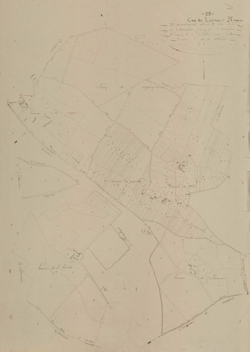 Section N, Villards.