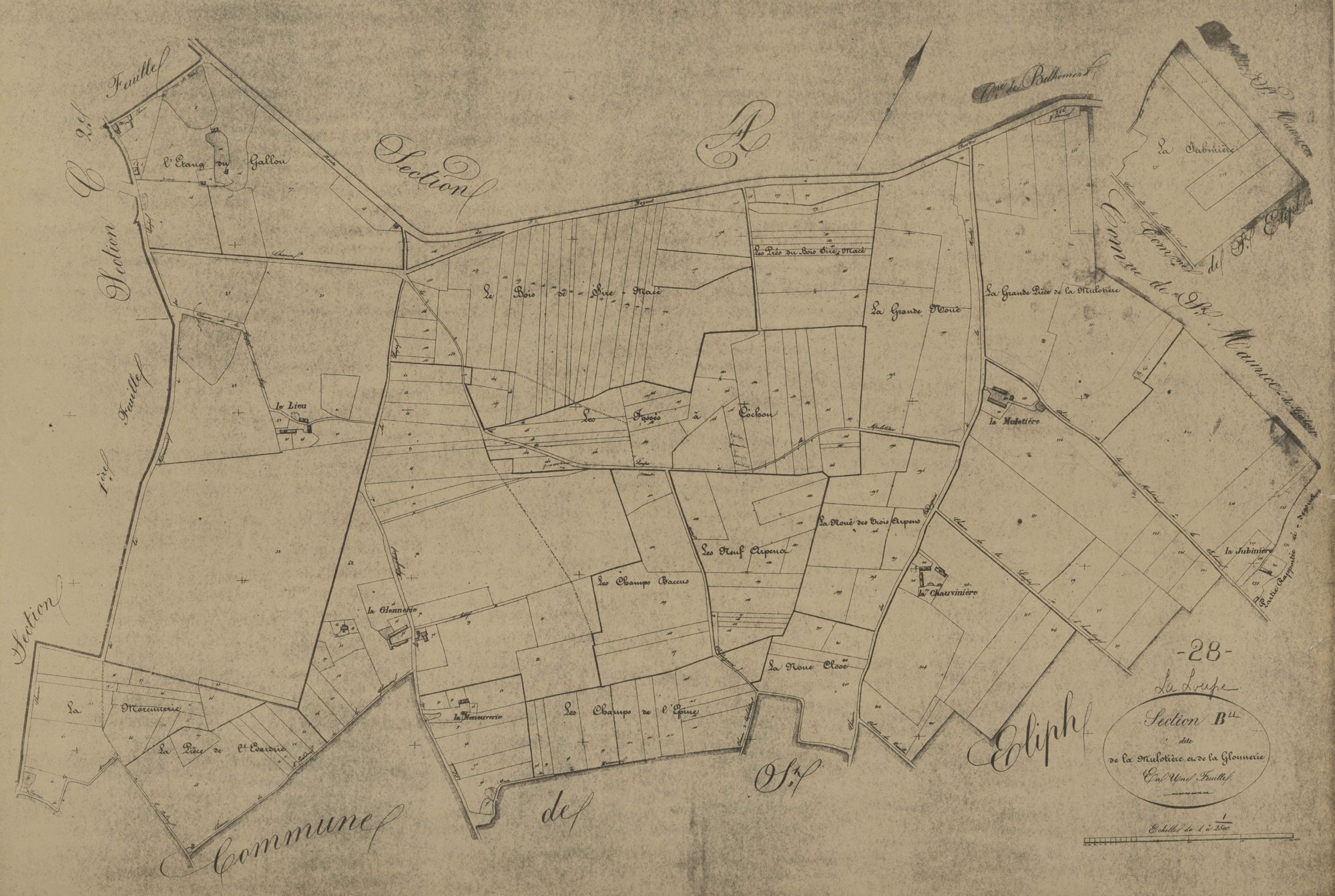Section B, la Mulotière et la Glonnerie, en une feuille.