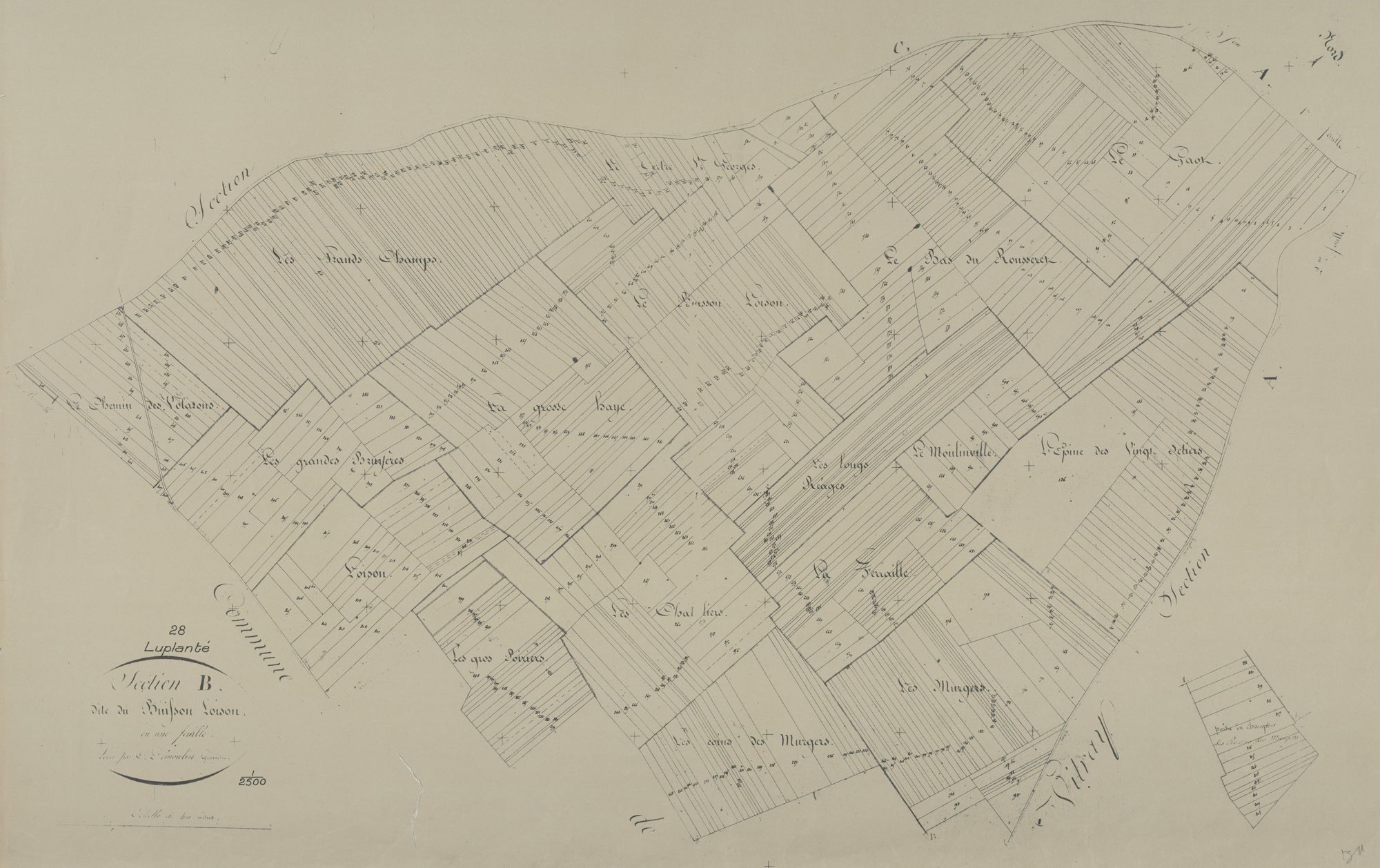 Section B, le Buisson Loison, en une feuille.