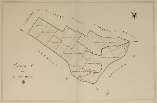 Section C, le Bois Hureau, en une feuille.