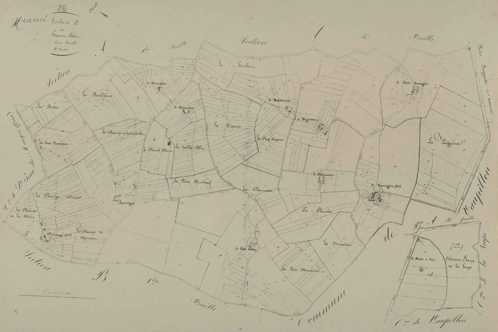 Section B, le Haut-Bois, feuille 2.