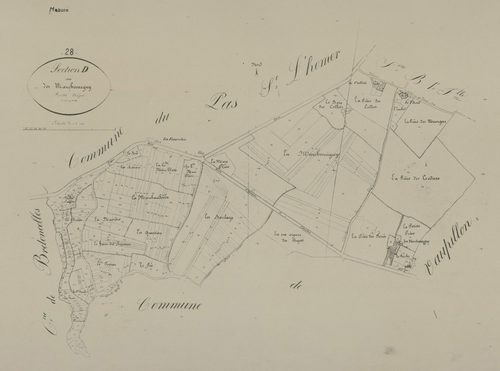 Section D, les Marchemigny, en une feuille.
