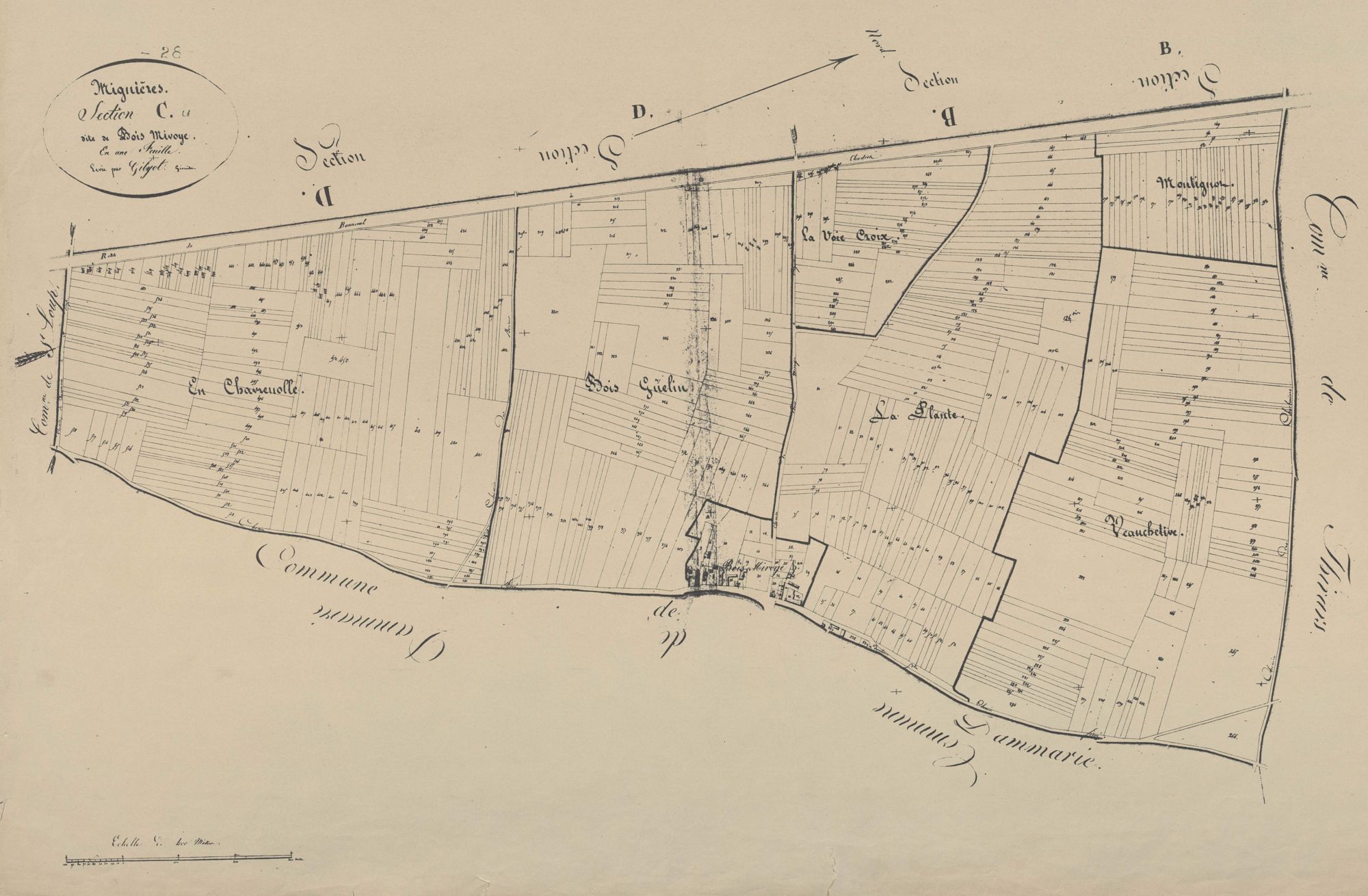 Section C, le Bois Mivoye, en une feuille.