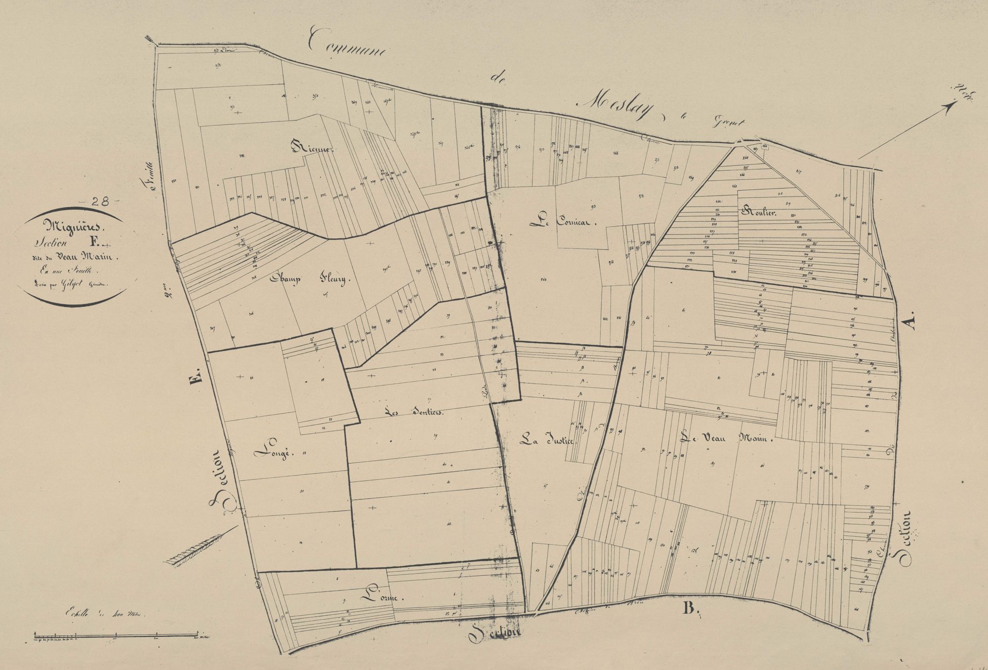 Section F, le Veau Marin, en une feuille.
