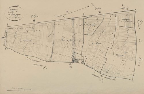 Section C, le Bois Mivoye, en une feuille.
