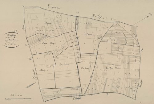 Section F, le Veau Marin, en une feuille.