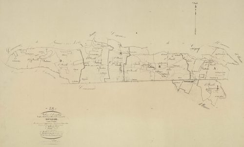 Tableau d'assemblage du plan parcellaire.