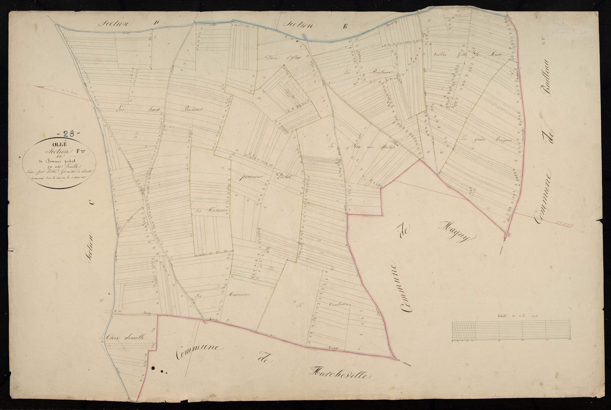 Section F, Pommier Pichot, en une feuille.