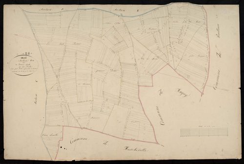 Section F, Pommier Pichot, en une feuille.