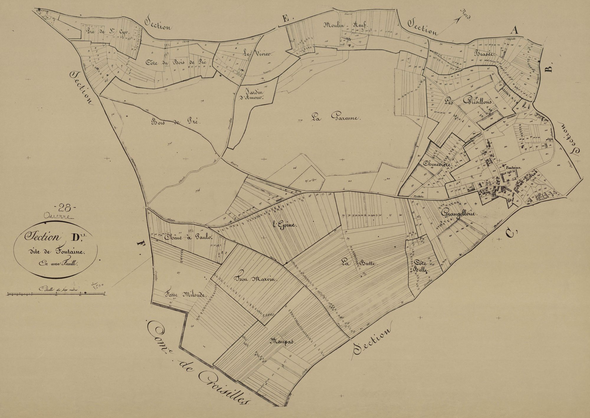 Section D, Fontaine, en une feuille.