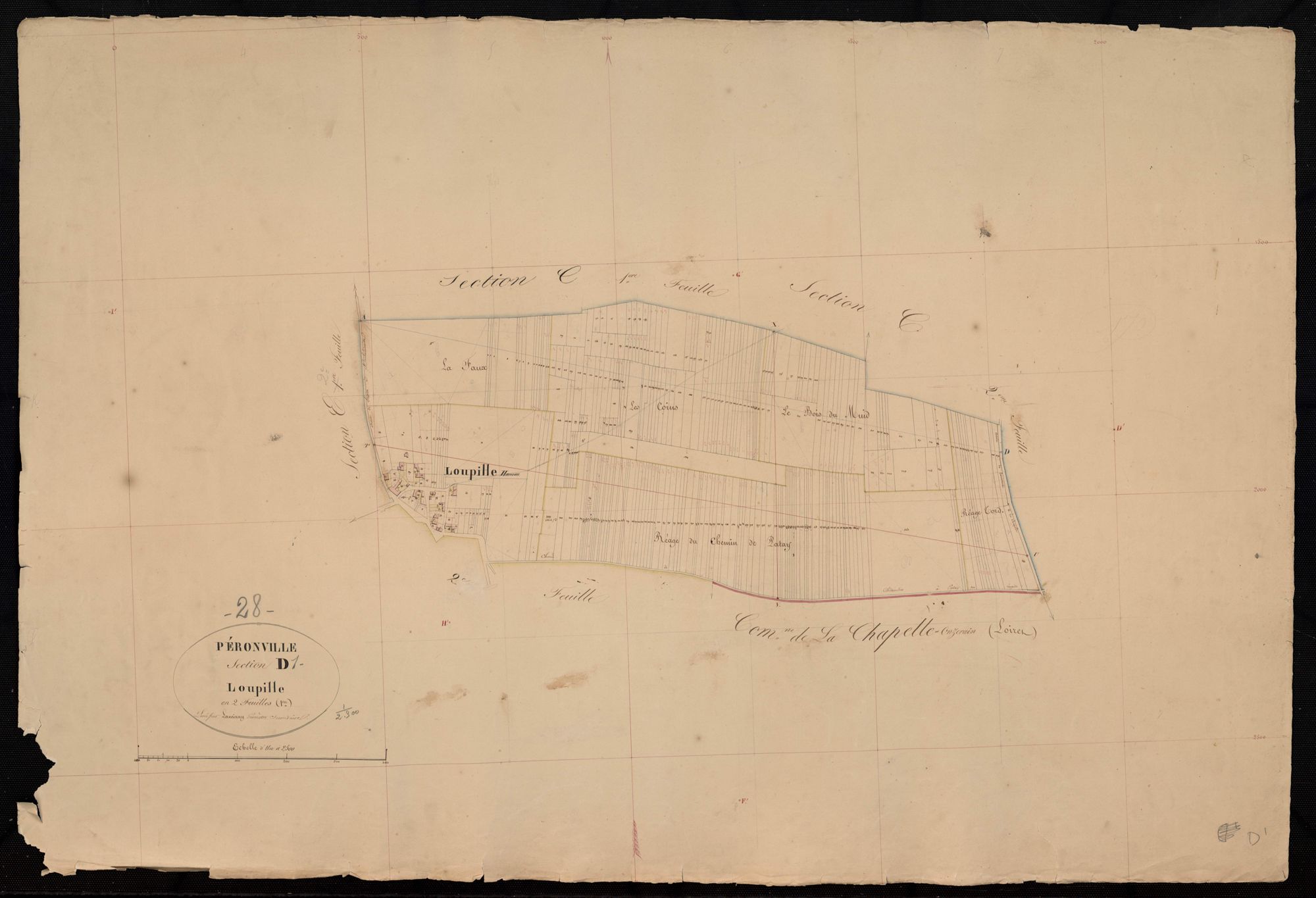 Section D, Loupille, feuille 1 / Terminée sur le terrain par Monsieur Lamiray, Géomètre secondaire.