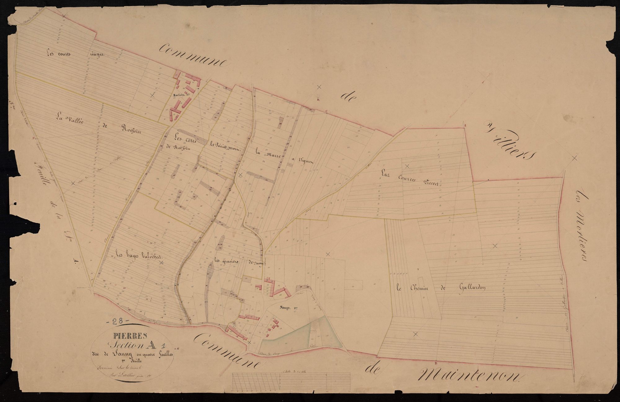 Section A, Sauny, feuille 1 / Terminée sur le terrain par Monsieur Letellier, Géomètre secondaire.