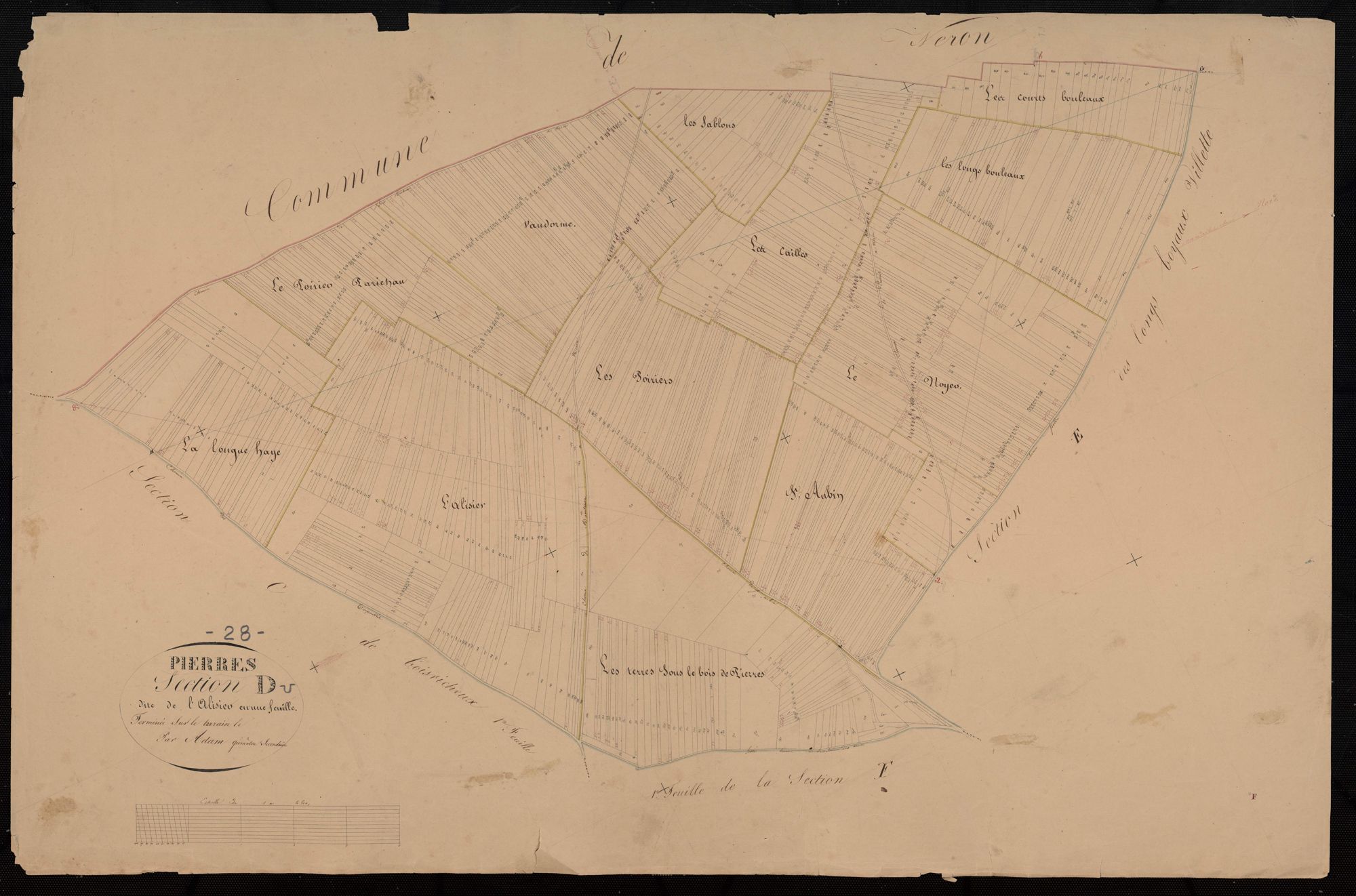 Section D, l'Alisier, en une feuille / Terminée sur le terrain par Monsieur Adam, Géomètre secondaire.