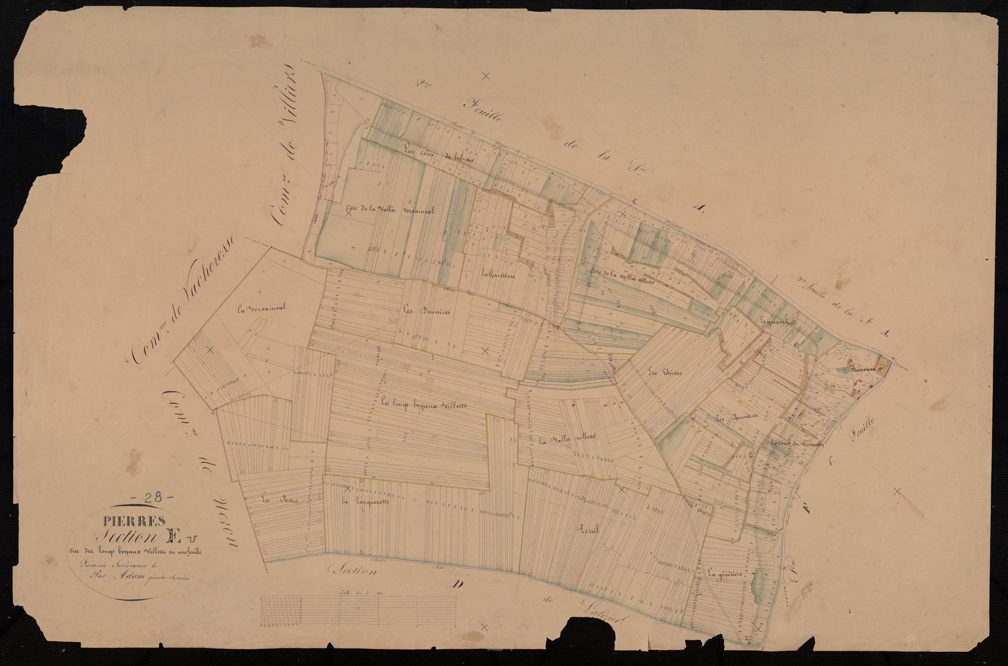 Section E, les Longs Boyaux Villette, en une feuille / Terminée par Monsieur Adam, Géomètre secondaire.