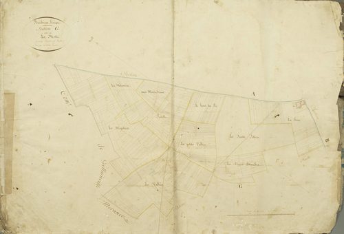 Section G, la Motte, feuille 2 / Levée par Périer, géomètre.