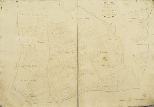 Section C, Bussey et la Guette, feuille 2 / Levée par Court puîné, géomètre.