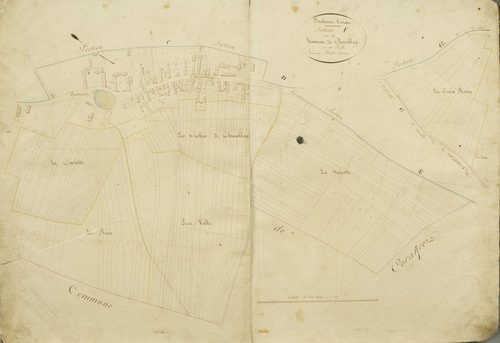 Section F, le Hameau de Chamblay / Levée par Perier, géomètre.