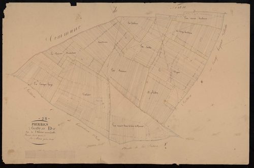 Section D, l'Alisier, en une feuille / Terminée sur le terrain par Monsieur Adam, Géomètre secondaire.