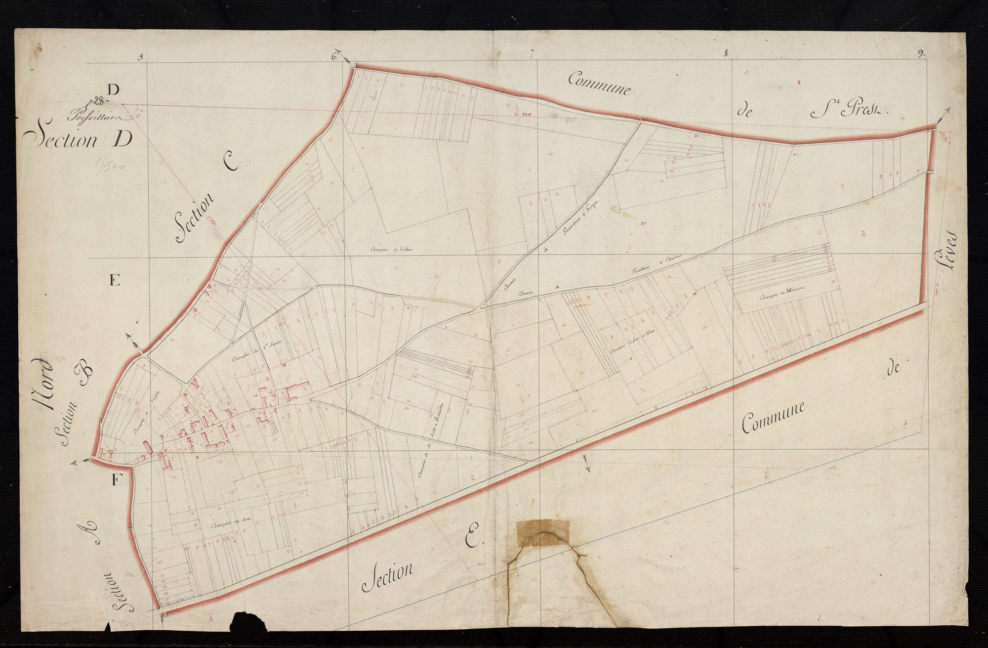 Section D.