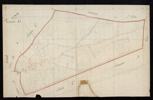 Section D.